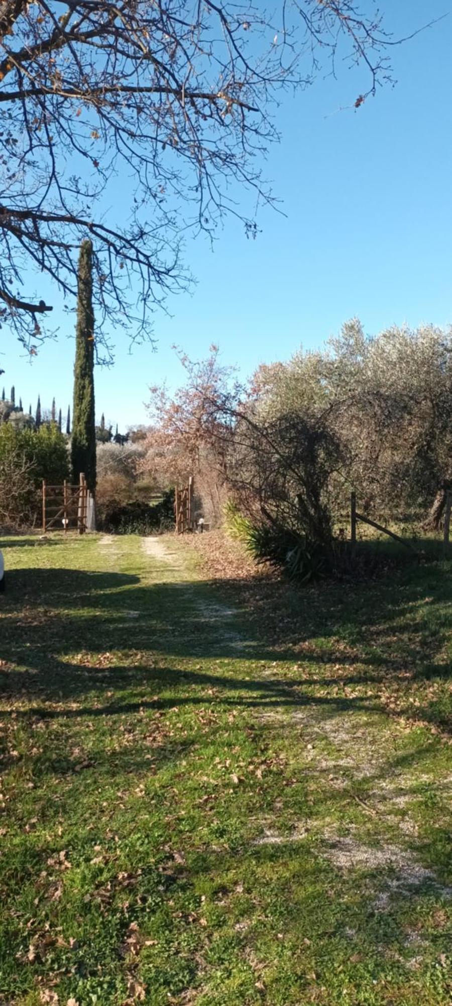 Appartement Casa In Maremma à Montemerano Extérieur photo