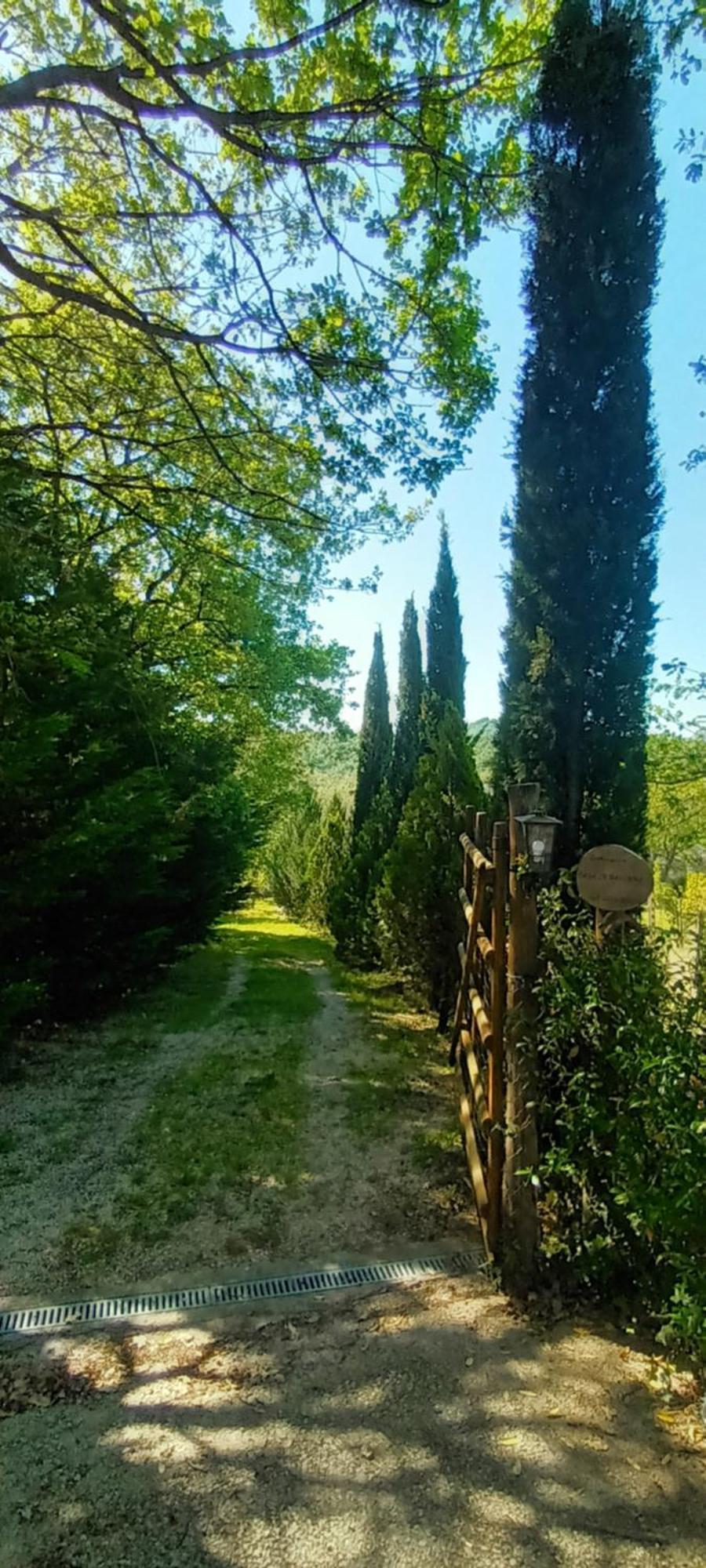 Appartement Casa In Maremma à Montemerano Extérieur photo