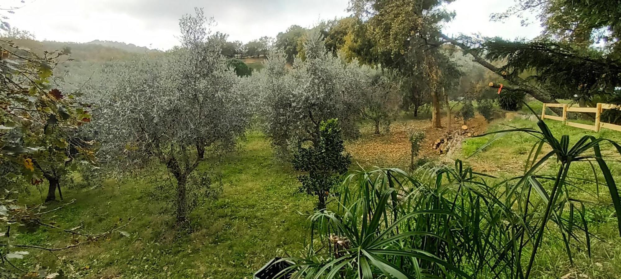Appartement Casa In Maremma à Montemerano Extérieur photo